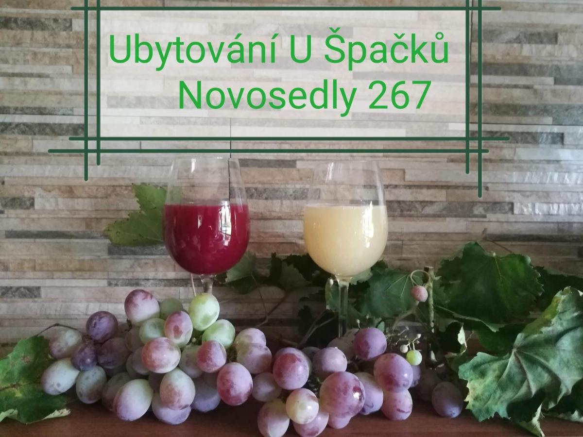 Ubytování U Špačků Pálava Novosedly  Exterior foto